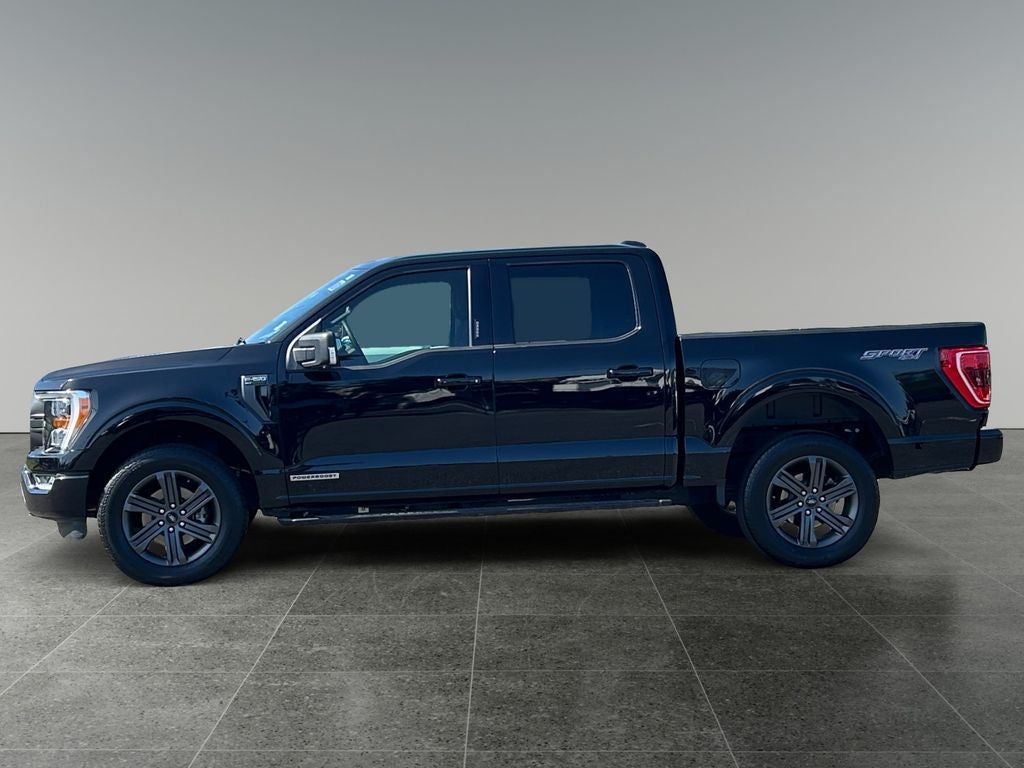 2023 Ford F-150 — detail view
