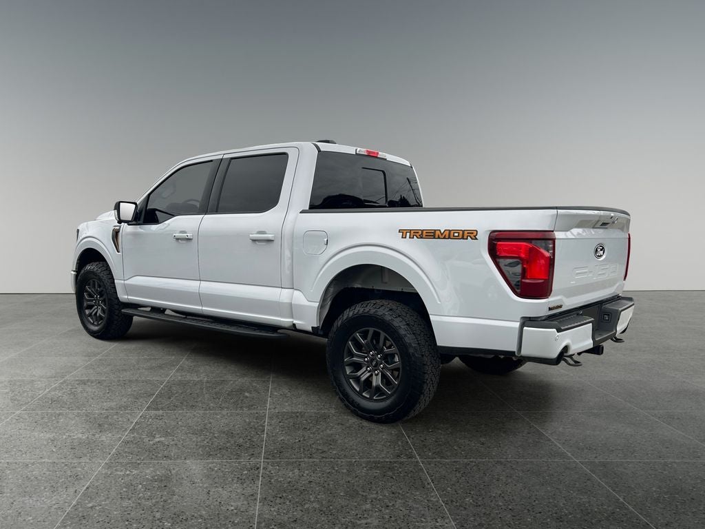 2025 Ford F-150 — detail view